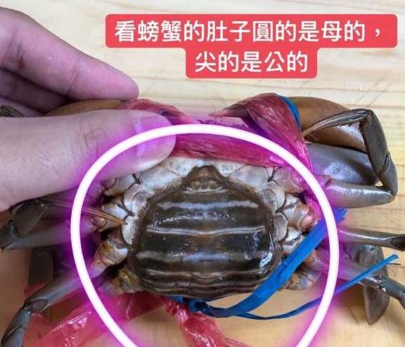 酒蒸螃蟹为什么死掉的螃蟹不能吃，附带螃蟹清洗图解！哪儿能吃，哪儿不能吃，一目了然！
