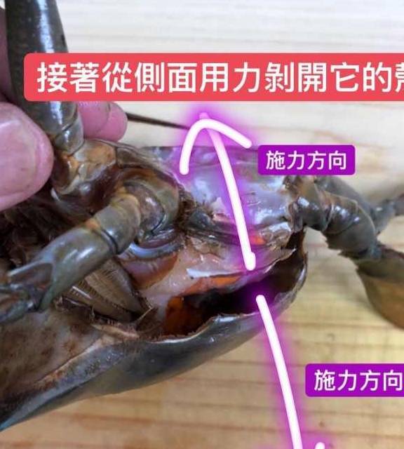 酒蒸螃蟹为什么死掉的螃蟹不能吃，附带螃蟹清洗图解！哪儿能吃，哪儿不能吃，一目了然！