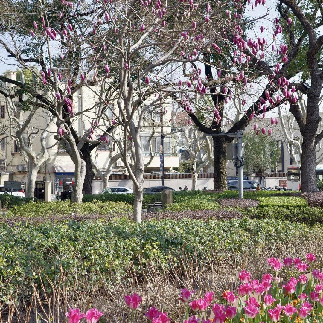 探徐汇｜春日<a href='http://aimai.cc/
' target='_blank'>好物推荐</a>！漫步衡复街区<a href='http://aimai.cc/
' target='_blank'>好物推荐</a>，一起寻春去
