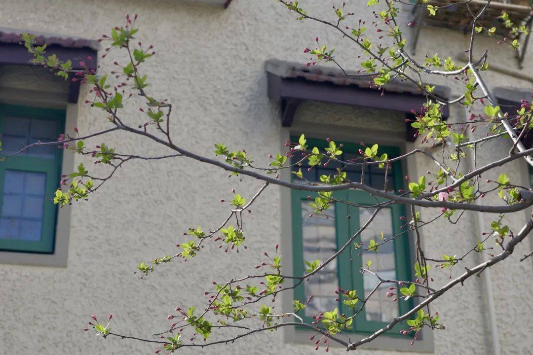 探徐汇｜春日<a href='http://aimai.cc/
' target='_blank'>好物推荐</a>！漫步衡复街区<a href='http://aimai.cc/
' target='_blank'>好物推荐</a>，一起寻春去