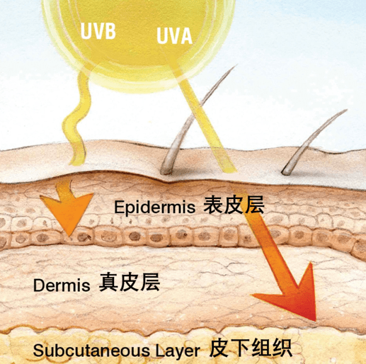 全国进入高温炙烤模式薇姿，你还没选对防晒吗？