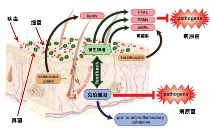 全国进入高温炙烤模式薇姿，你还没选对防晒吗？